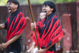 New Zealand 2025 (2 group) (30/84)